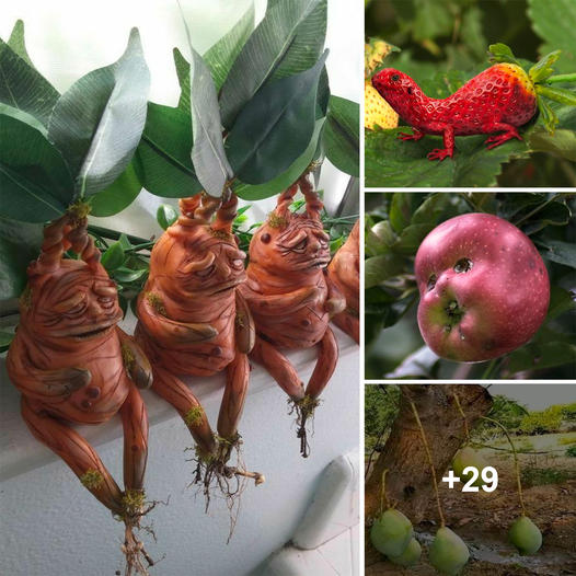 Captivating Curiosities: Unveiling Extraordinary Plants and Fruits That Intrigue and Fascinate Viewers