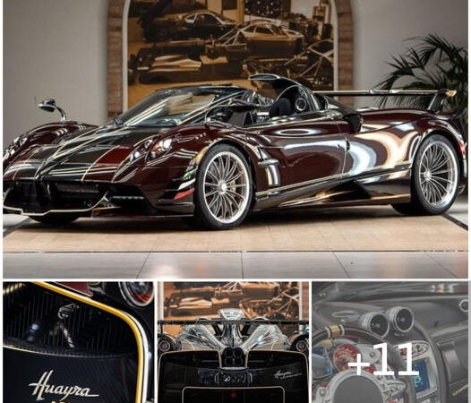 A New Era of Automotive Marvel: The Pagani Huayra Dinamica Evo and Its Unparalleled Uniqueness and Innovation-007