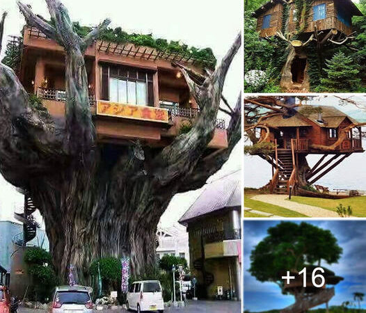 Journey to Enchanted Heights: Unveiling the Mystical Realms of Treehouse Residences