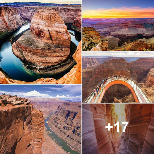 13 Things You Didn’t Know About Grand Canyon National Park