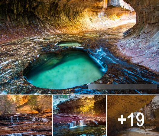 The Subway und North Pole [Zion National Park