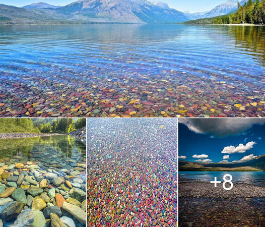 The Multicolored Rocks of Lake McDonald