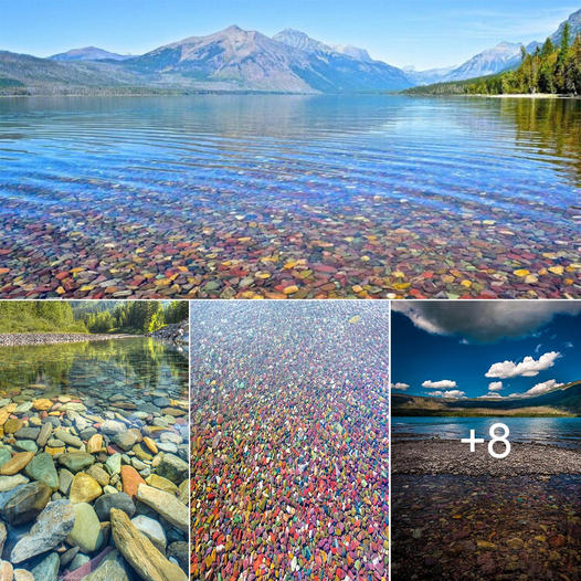 The Multicolored Rocks of Lake McDonald