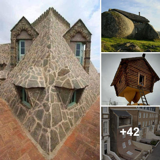 Adorable Homes: Exploring the Enchanting World of Cute and Charming Designs in Architecture
