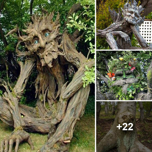 Revealing Nature’s Artistry: The Intriguing Tree Displaying Captivating and Enigmatic Shapes