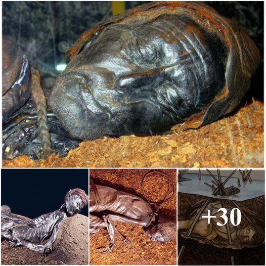 Archaeologists discovered a 2,400-year-old mummy named Tollund Man in Denmark, making everyone admire.