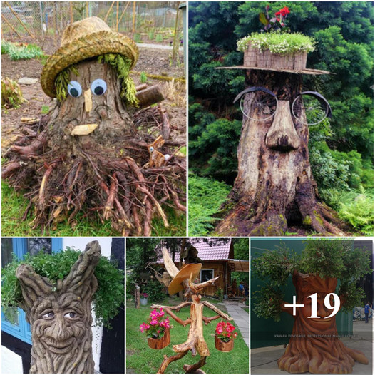 Unveiling Nature’s Elegance: Elevating Garden Aesthetics With Decorative Tree Roots  ‎