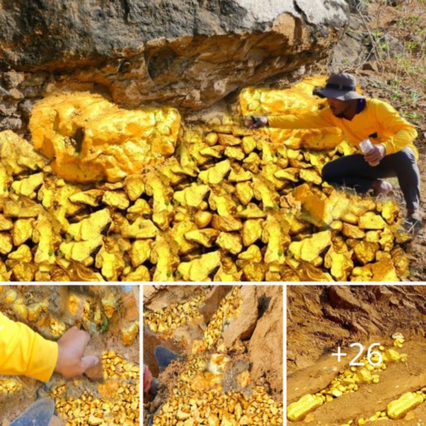 аmаzіпɡ: Gold Digger reveals how to find massive gold deposits that have been Ьᴜгіed for countless generations beneath mountain rocks ‎