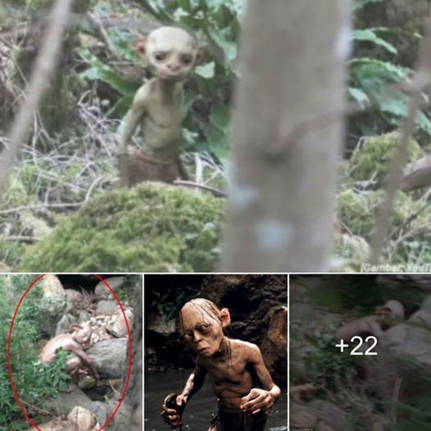 From ancient legends to modern-day sightings, the enigma of the goblin resurfaces in China. A photograph that’s sparking debates and curiosity worldwide! ‎