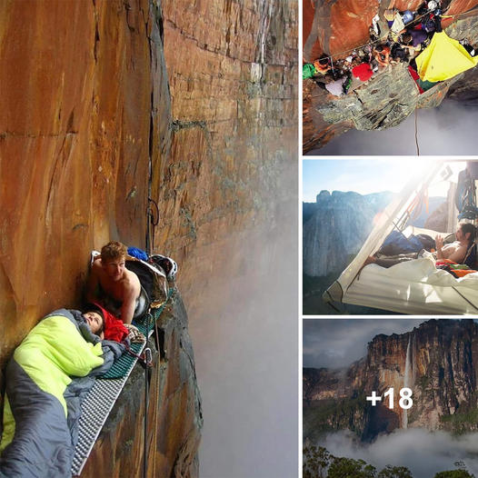 Heart-Stopping: Witnessing Climbers Rest on Towering Cliffs! ‎
